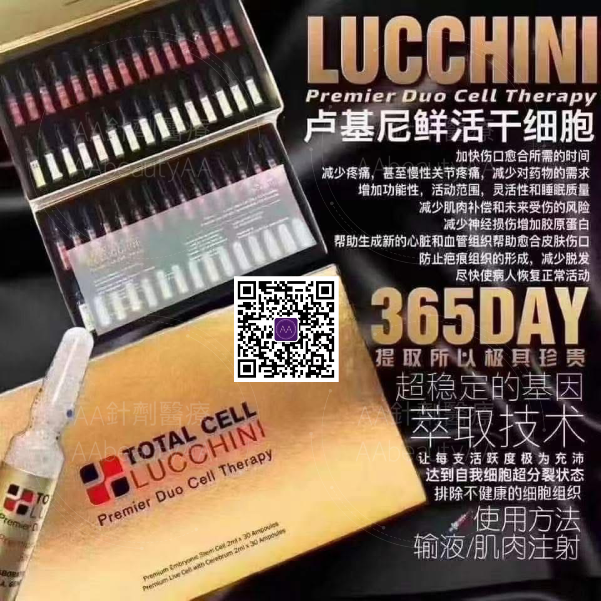 L13